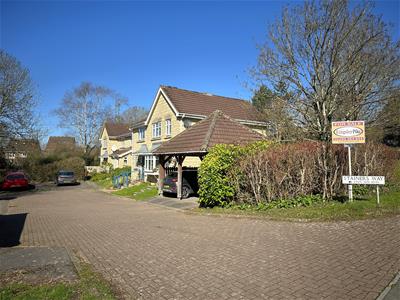 Picture 11